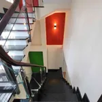 Cho thuê nhà nguyên căn mặt tiền Hoàng Sa, 40m², 4PN 5WC, Tân Bình - Ảnh thu nhỏ 4