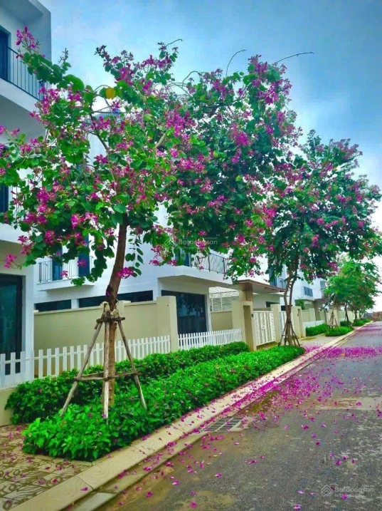 Cần bán gấp lô biệt thự DT 252m2 tại dự án Vlasta Sầm Sơn, Thanh Hóa - Ảnh thu nhỏ 5