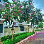 Cần bán gấp lô biệt thự DT 252m2 tại dự án Vlasta Sầm Sơn, Thanh Hóa - Ảnh thu nhỏ 5