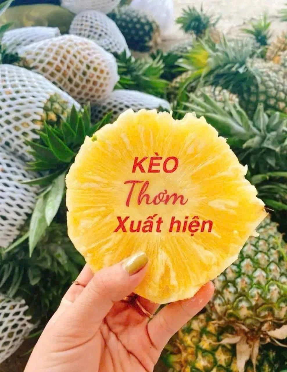 Bán lô đất 1400m2 (1000m2 thổ cư) ngang 31m, Phường Đông Hòa, Dĩ An, giá 14,5 tỷ - Ảnh 1