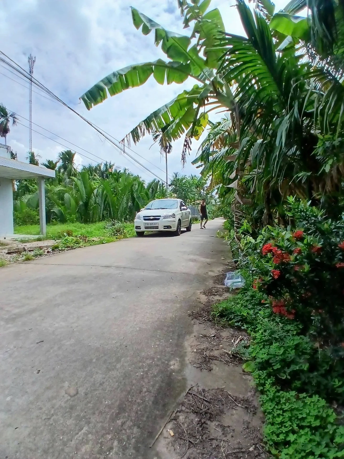 Bán nền thổ cư 158m2 mặt tiền Giồng Trôm, Bến Tre 395 triệu - Ảnh 1