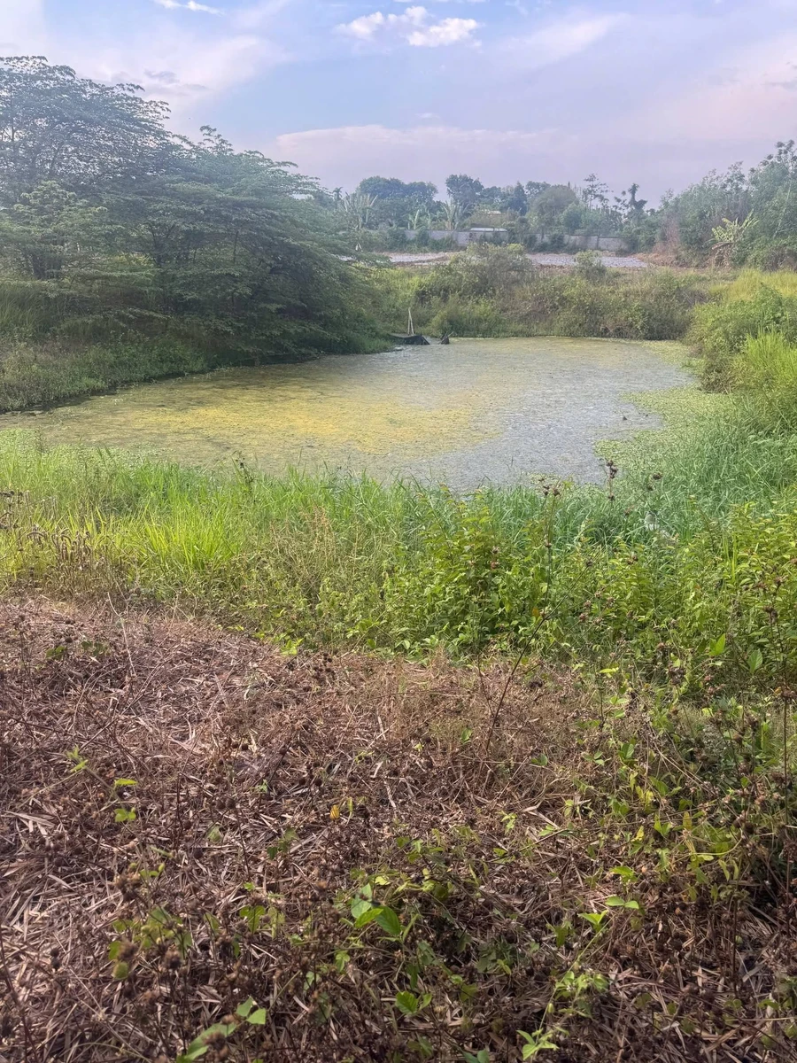 Bán đất Xã Nghĩa Thành Cần Giờ 8 sào, 300m² thổ cư, 5 tỷ - Ảnh thu nhỏ 2