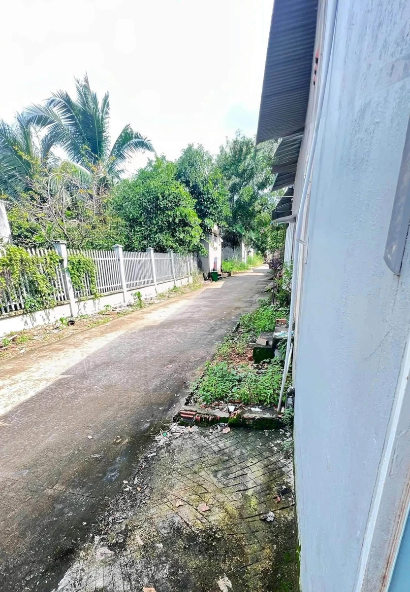 Bán đất Đồng Xoài 99m² mặt tiền 1 tỷ - Ảnh thu nhỏ 2