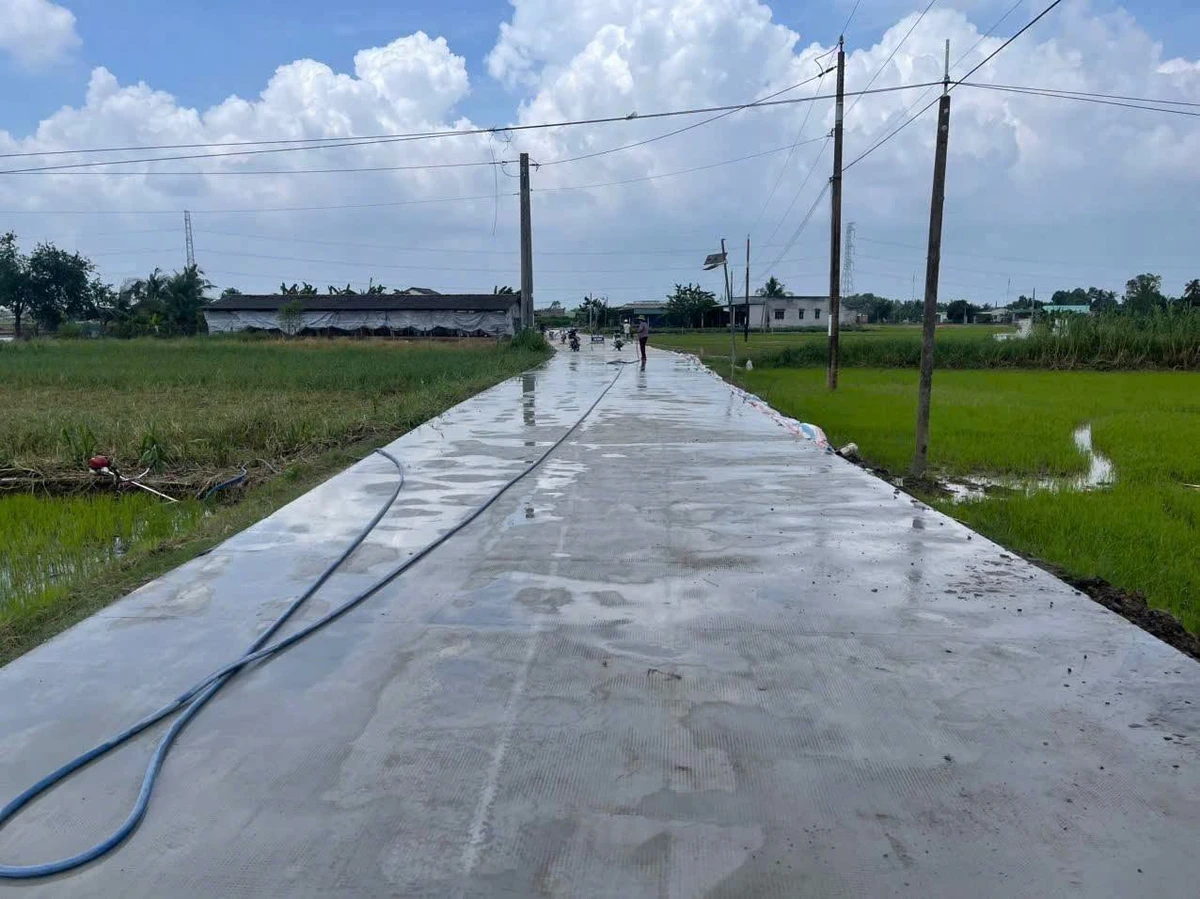 Bán đất thổ cư mặt tiền đường Huỳnh Ngọc Xinh, Tân Trụ, từ 480 triệu - Ảnh thu nhỏ 3