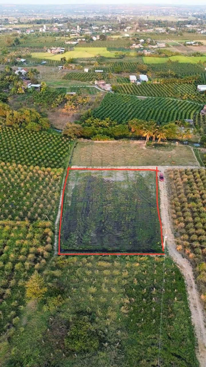 Bán đất 1100m² Cây Lâu Năm, Phan Thiết, 429 triệu - Ảnh 1