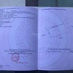 Bán 2618m2 khu phố tây Ông Lang, mặt tiền khủng 60m. Làm Resort quá đẹp. Giá giảm shock chỉ 9.9 tỷ - Ảnh thu nhỏ 3