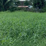 Bán đất ở 95,4m² gần 100m² Diên An 1,86 tỷ - Ảnh thu nhỏ 4