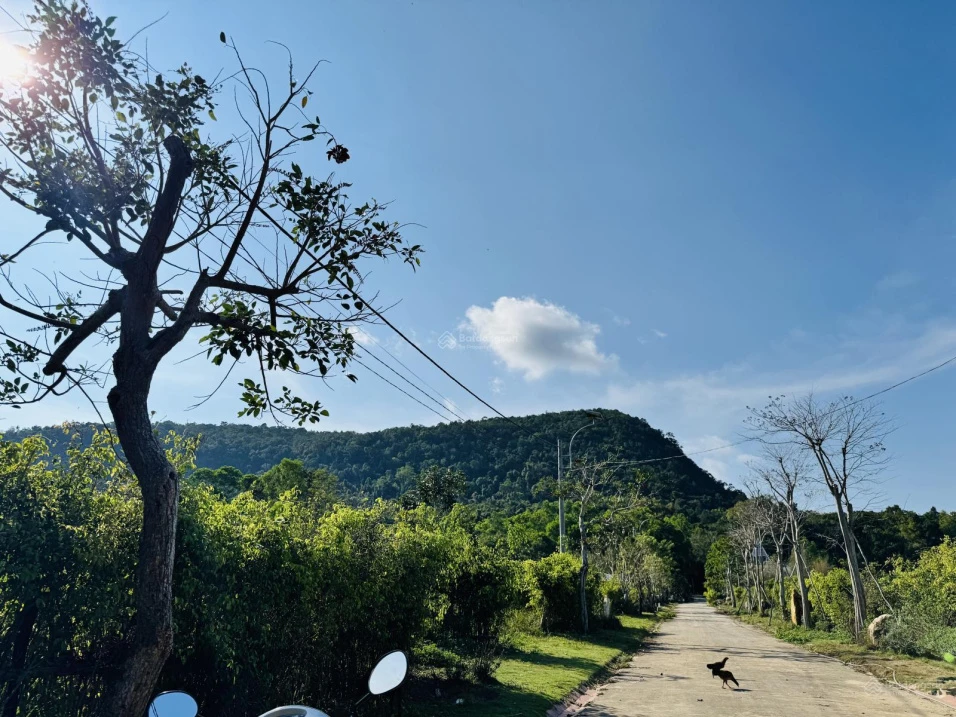 Bán đất 100% thổ cư Búng Gội, 494m2 giá 4.3tỷ, ngang 16.5m view núi đẹp, về sân bay Phú Quốc 20phut - Ảnh thu nhỏ 2