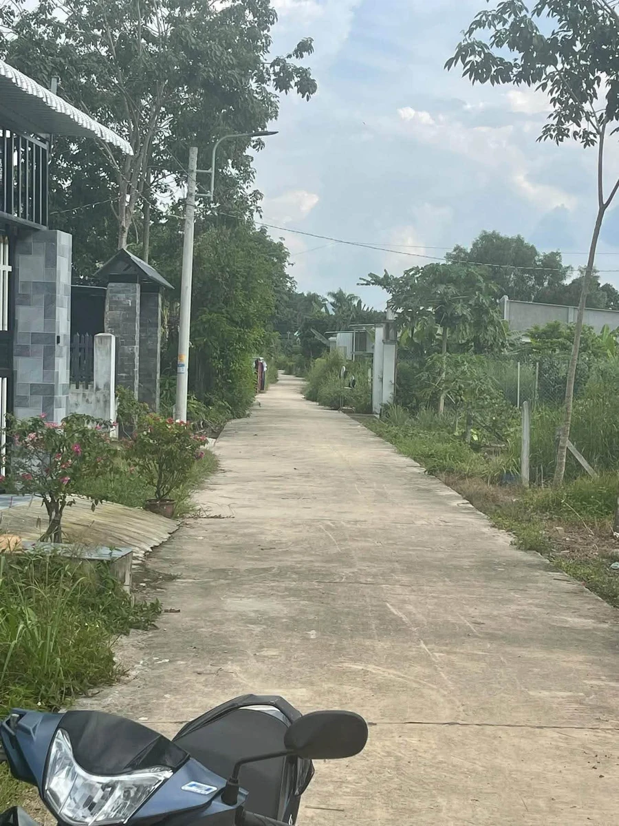 Bán đất 9000m² mặt tiền 20m Long Tân Cần Giờ - Ảnh thu nhỏ 3