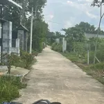 Bán đất 9000m² mặt tiền 20m Long Tân Cần Giờ - Ảnh thu nhỏ 3