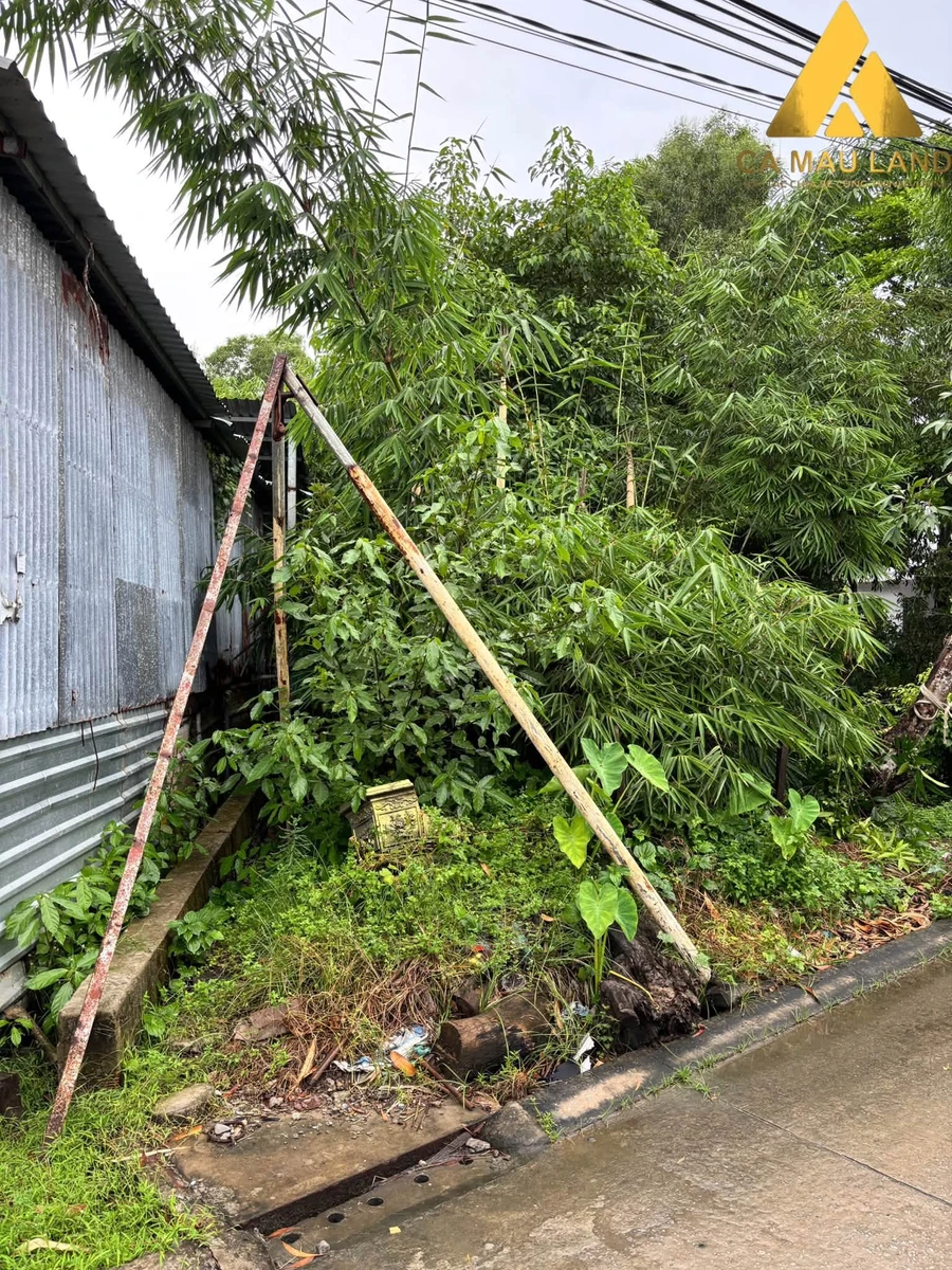Bán nền mặt tiền Trương Phúng Xuân 94.5m² 800 triệu Cà Mau - Ảnh thu nhỏ 3
