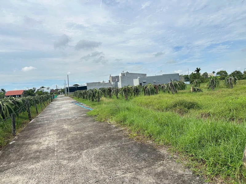 Bán đất thổ cư 300m² Bình Thuận Lâm Đồng
