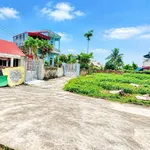 Bán đất 400m² Phạm Khê Thanh Miện Hải Phòng giá 1 tỷ - Ảnh thu nhỏ 2