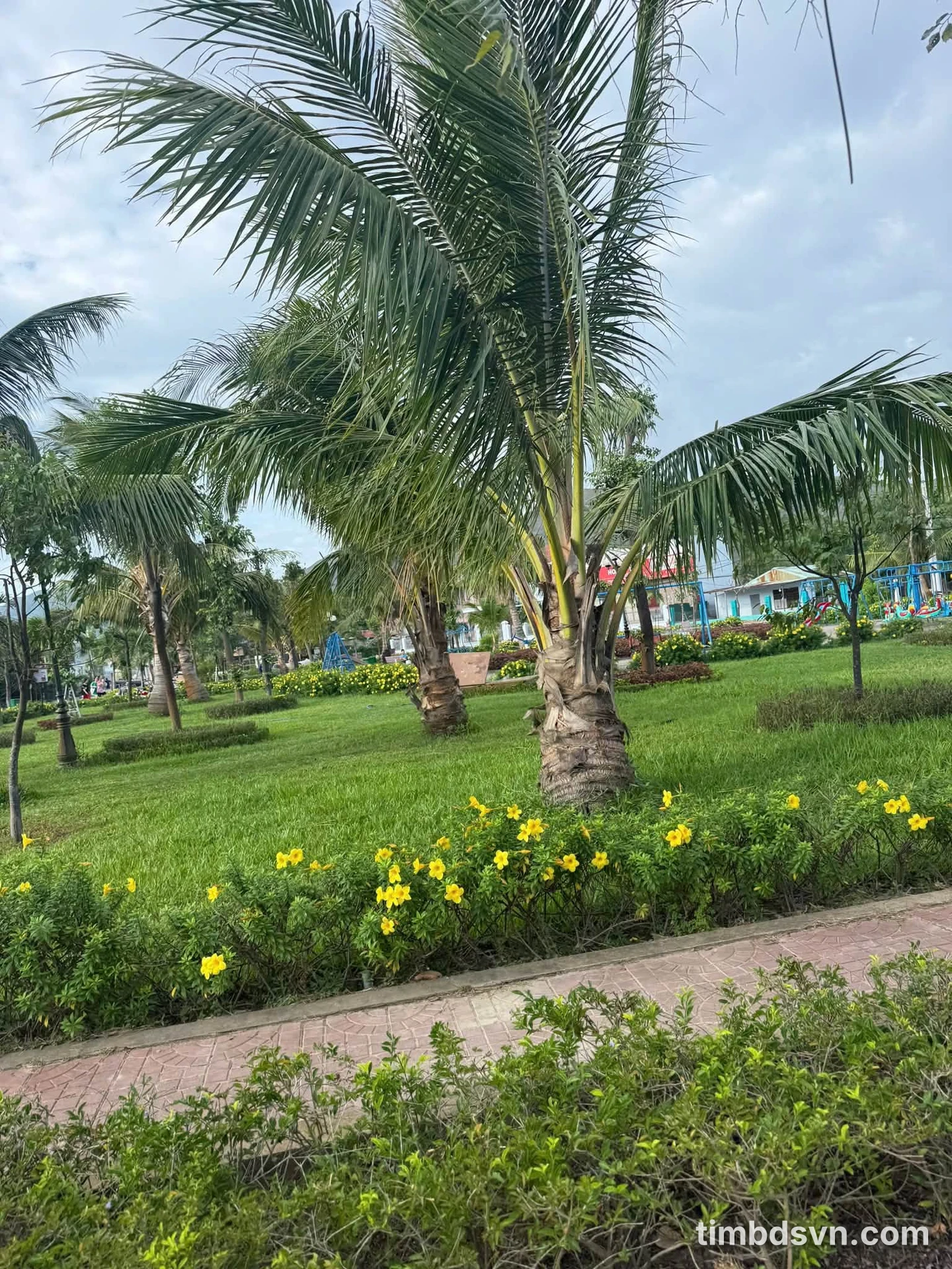 Bán đất mặt tiền Phường Nhơn Phú Quy Nhơn 124m2 giá 2 tỷ 9 - Ảnh 1