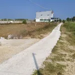 Bán đất thổ cư 104m² Hàm Liêm, Bình Thuận 420 triệu - Ảnh thu nhỏ 2