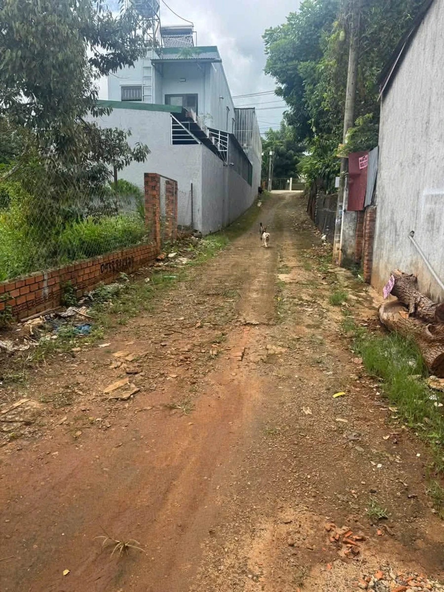 Bán đất Tân Lập 169m² 4,48 tỷ hẻm Võ Thị Sáu - Ảnh thu nhỏ 2