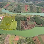 Bán đất 1,2 hecta Bảo Lộc view hồ 16,6 tỷ - Ảnh thu nhỏ 1