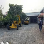 Bán đất mặt tiền QL50 xã Tân Lân 855m² Cần Dước - Ảnh thu nhỏ 3
