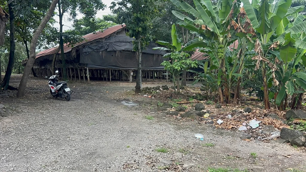 Bán 2 lô đất liền kề 5.375 m² Thống Nhất, Đồng Nai - Ảnh thu nhỏ 5