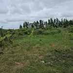 Bán nền đất 110m² Quang Trung, Rạch Giá giá 600 triệu - Ảnh thu nhỏ 2