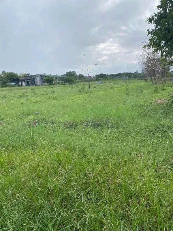 Bán đất Lý Trạch 7000m² giá 3 tỷ Nhà Bè - Ảnh 1