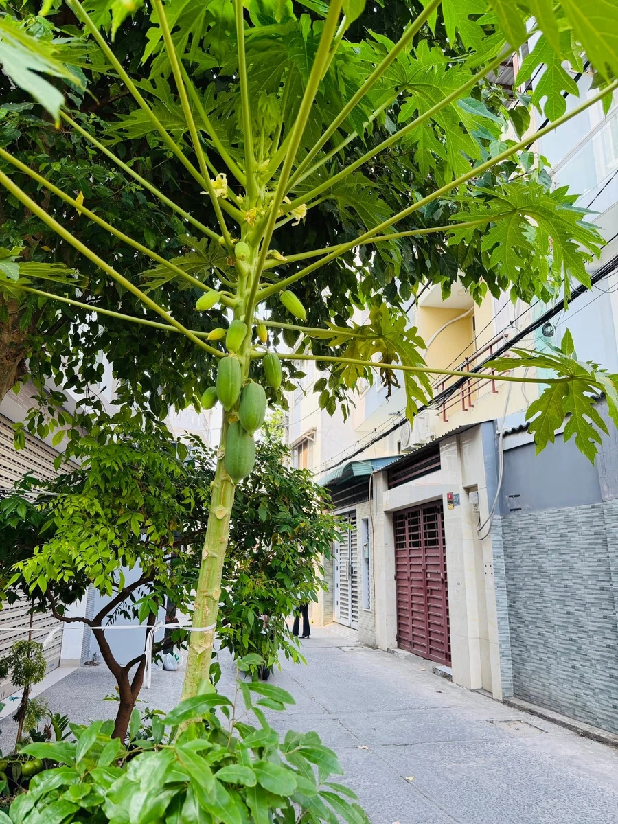 Bán nhà hẻm xe hơi Nơ Trang Long, Bình Thạnh, 38m², 7.5 tỷ - Ảnh thu nhỏ 5