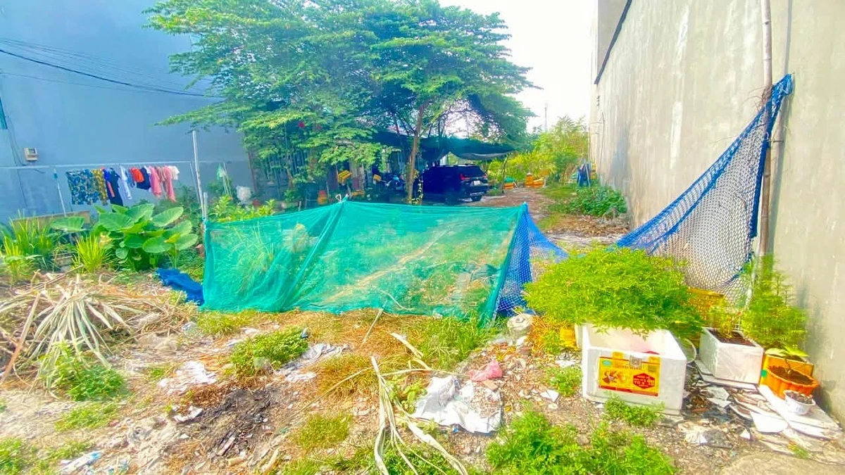 Chính chủ bán đất 11x29m, 295m2 thổ cư, sau chợ Thới Hòa, Bình Chánh - Ảnh thu nhỏ 3