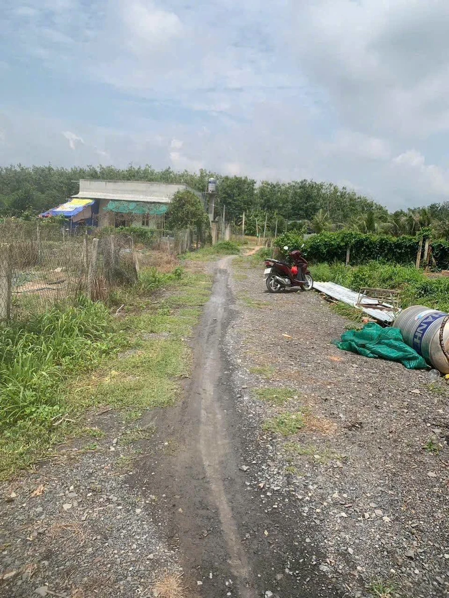 Bán đất thổ cư 155m² Tây Ninh, Phường Long Hoa 350 triệu - Ảnh thu nhỏ 2
