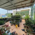 Bán nhà lộc góc 2 mê tum mặt tiền Nguyễn Tất Thành, Tuy Hoà, 137.5 m2, 3 PN - Ảnh thu nhỏ 4