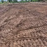 Bán đất vườn 3017m² Thạnh Hòa, Bến Lức, Long An - Ảnh thu nhỏ 2