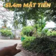 Bán 3.000m2 đất phố Tây Cửa Lấp QH đất ở chỉnh trang MT 51m giá chỉ 15tr/m2 - Ảnh thu nhỏ 15