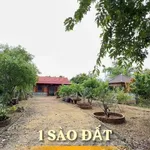 Nhà vườn Buôn Ma Thuột gần chợ, 1012m² đất, 3,65 tỷ - Ảnh thu nhỏ 2