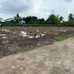 Bán đất 165m² mặt tiền đường Đan, Tây Ninh 350 triệu - Ảnh thu nhỏ 1