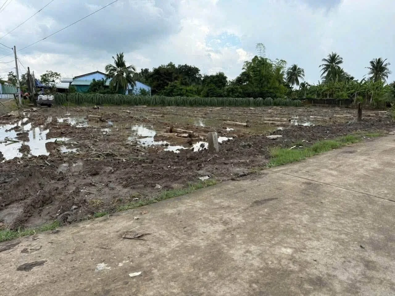 Bán đất 165m² mặt tiền đường Đan, Tây Ninh 350 triệu - Ảnh 1