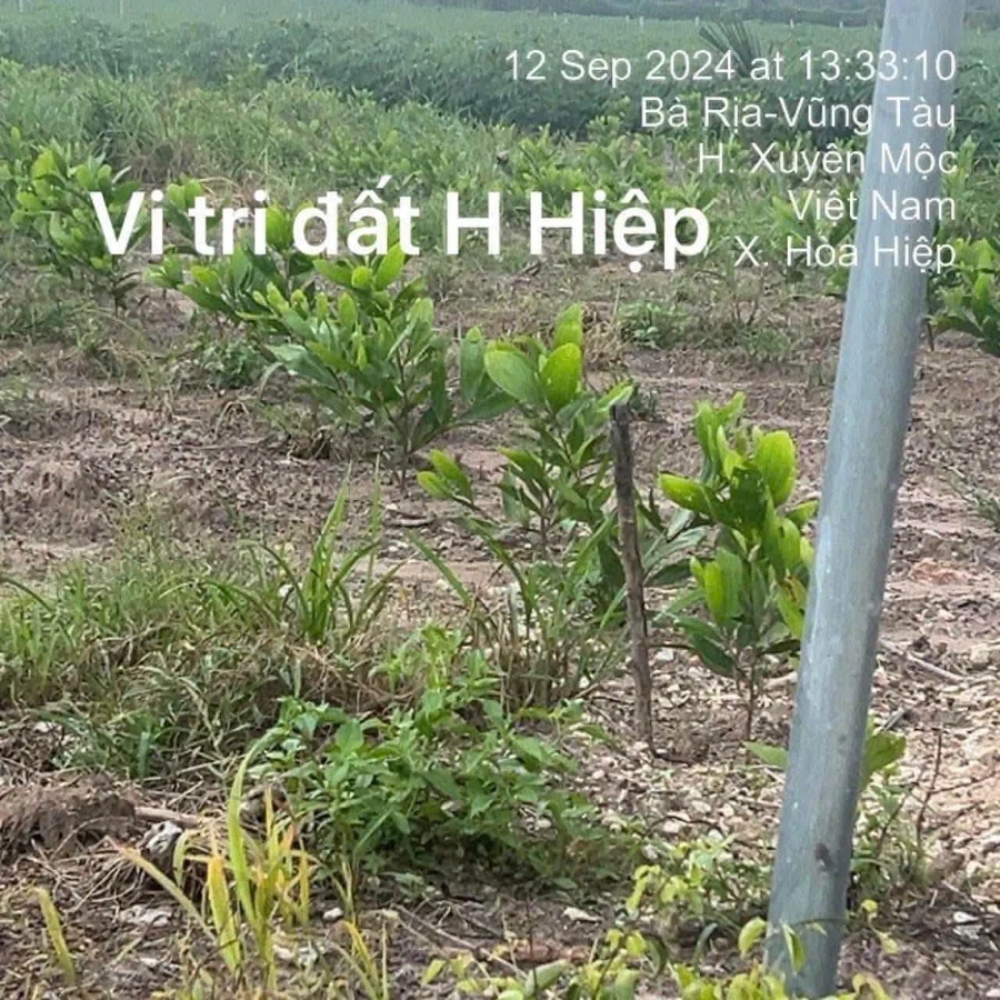 Bán đất Hòa Hiệp 1200m² mặt tiền 700 triệu - Ảnh thu nhỏ 2