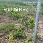 Bán đất Hòa Hiệp 1200m² mặt tiền 700 triệu - Ảnh thu nhỏ 2