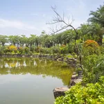 Chính chủ gửi bán đất tại Vườn Sen, giá cần ra nhanh 4,2 tỷ, sổ hồng cầm tay, LH 0326 569 *** - Ảnh thu nhỏ 7