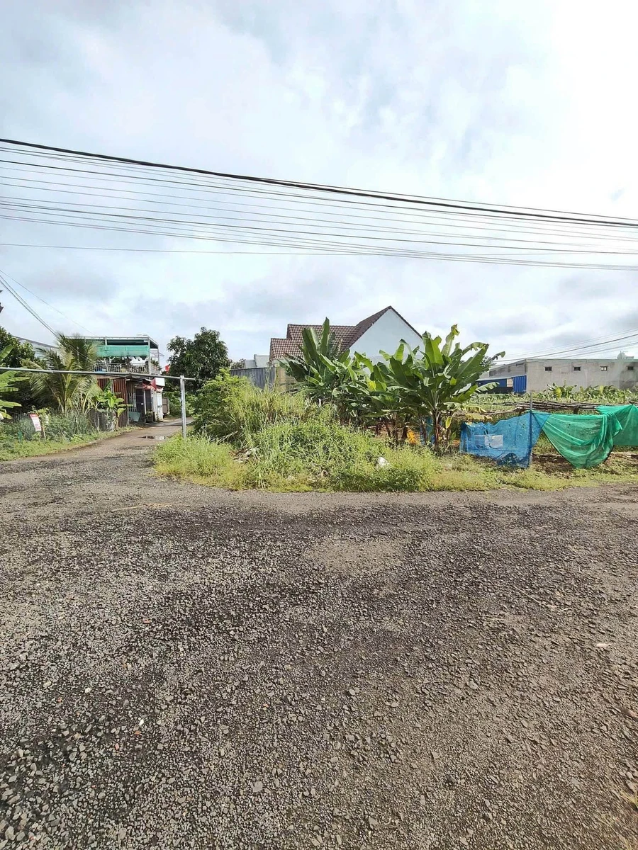 Bán lô góc 2 mặt tiền 312.5m² khu Phương Đông Trường Y Tiến Thành - Ảnh thu nhỏ 2