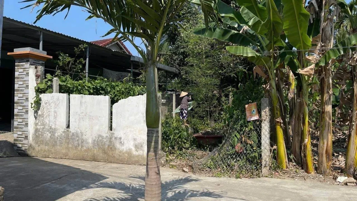 Bán đất Diên Toàn 100m2, 1 tỷ 400 triệu - Ảnh thu nhỏ 3