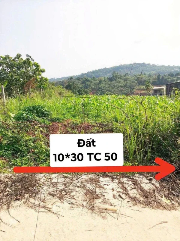 Bán đất 300m2 hẻm ô tô gần chợ, trung tâm Gia Nghĩa, Lâm Đồng, giá 880 triệu