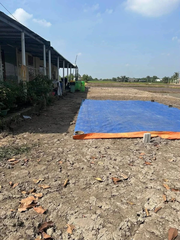 Bán đất thổ cư 4m x 37m tại Mỹ Hạnh Bắc, giá 1 tỷ 150 triệu