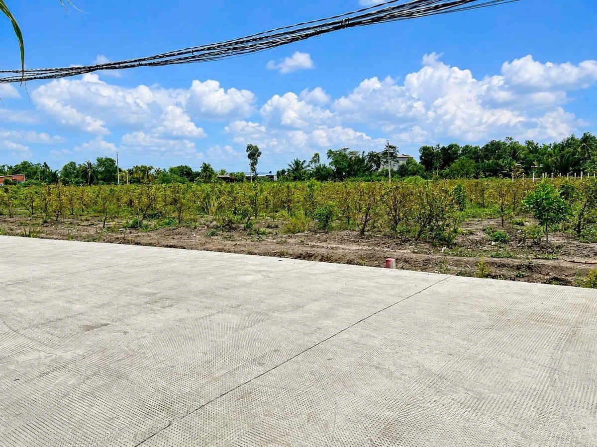 Bán đất 660m2 giá 790 triệu/lô tại xã Thạnh Lợi, Bến Lức, Long An - Ảnh thu nhỏ 4