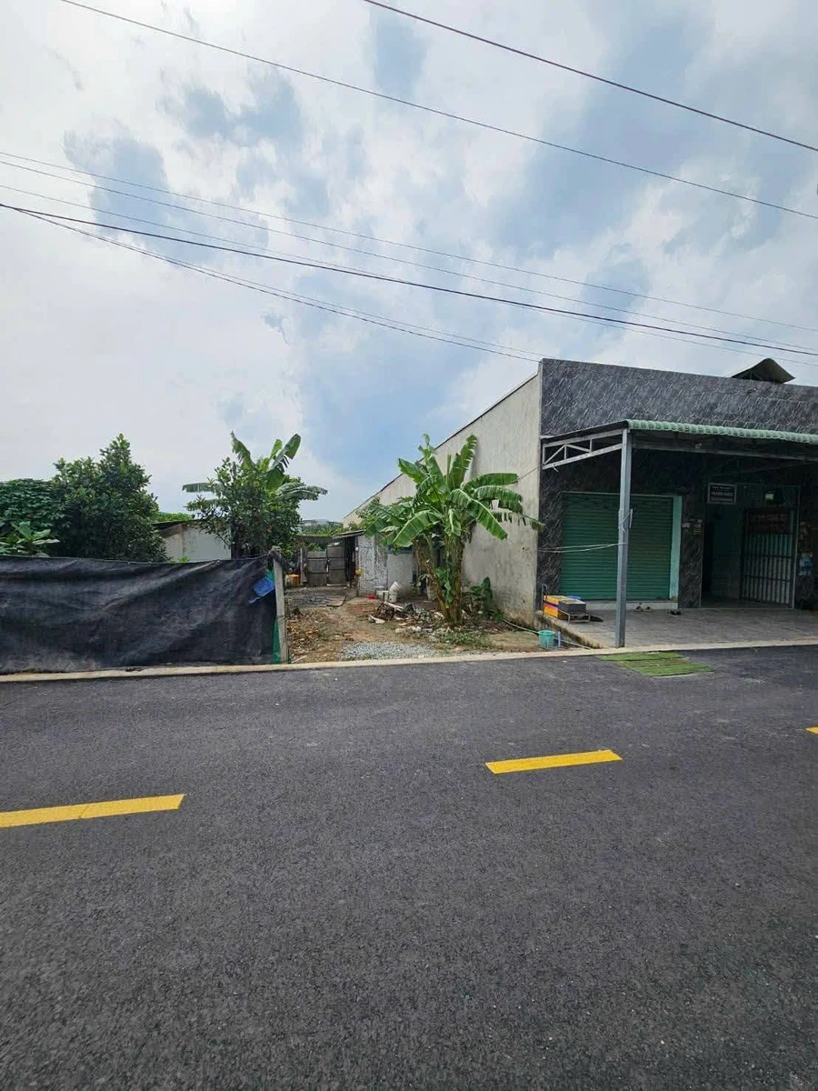 Bán đất nền 1000m2 Khu phố 1 Hội Nghĩa Bình Chánh, 10 tỷ - Ảnh thu nhỏ 3