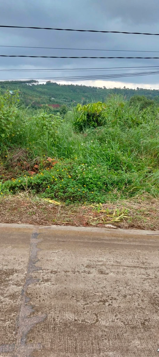 Bán lô đất nền thổ cư 5000m² mặt tiền Đắk Nông - Ảnh thu nhỏ 2