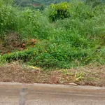 Bán lô đất nền thổ cư 5000m² mặt tiền Đắk Nông - Ảnh thu nhỏ 2