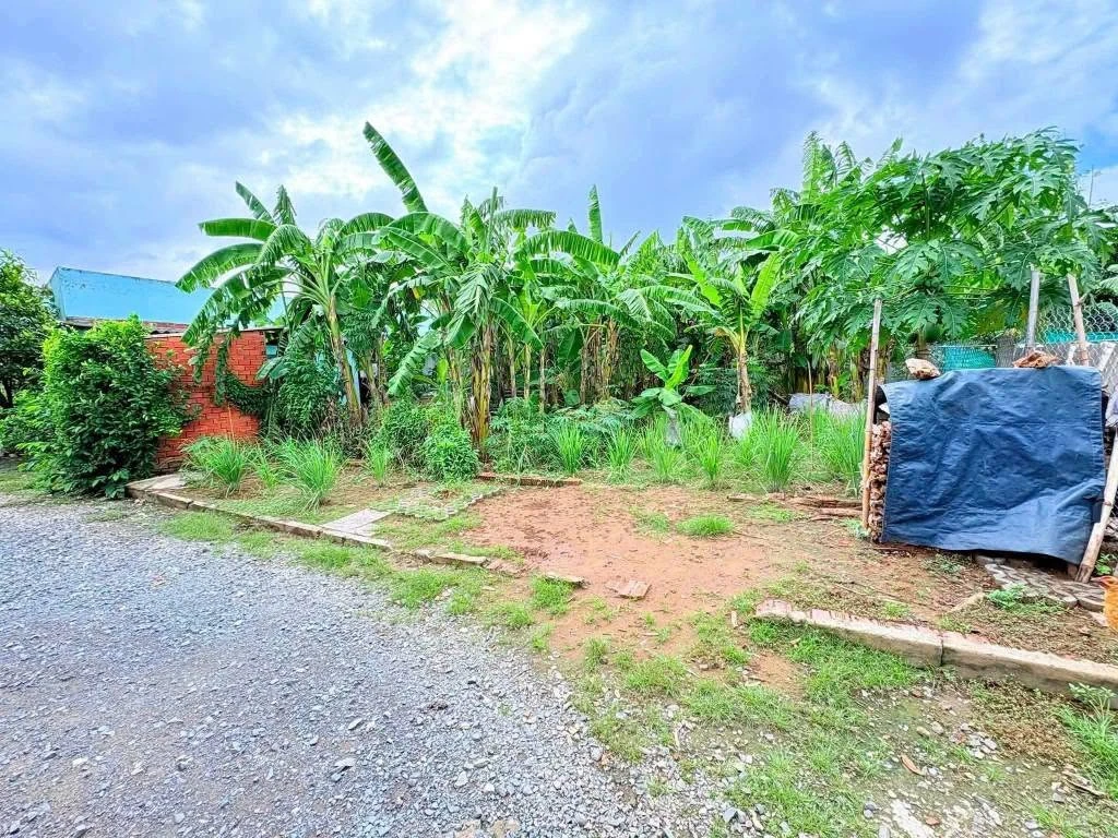 Bán đất thổ cư 5x20m (100m2) giá 600 triệu tại Long Hiệp - Ảnh thu nhỏ 2