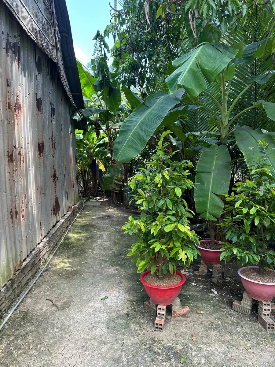 Bán đất 170m² thổ cư phường Phú Khương 450 triệu - Ảnh thu nhỏ 4