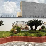 Bán nhà sân vườn mái Nhật 300m2 mặt tiền đường kinh doanh, Xã Phước Lý, Cần Giuộc - Ảnh thu nhỏ 4