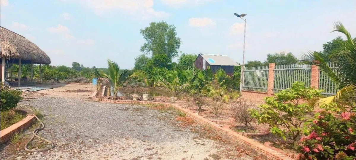 Bán đất vườn 2.517m2 tại Phú An, Hồ Chí Minh - 5 tỷ - Ảnh thu nhỏ 3