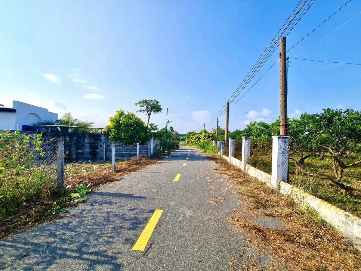 Đất bán Phước Hội Bà Rịa Vũng Tàu 193.6m2 giá 1 tỷ 900 triệu - Ảnh thu nhỏ 2